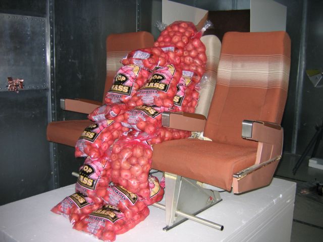 Η οικογένεια Πατάτα δοκιμάζει το ασύρματο δίκτυο της Boeing